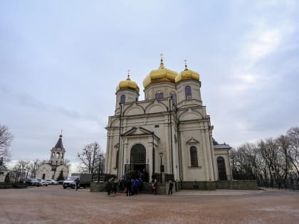 В день памяти святого апостола Андрея Первозванного в Казанском кафедральном соборе города Ставрополя прошли торжества, посвященные 10-летию образования Ставропольской митрополии