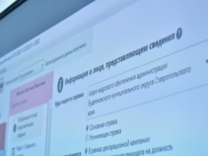 Стартовала декларационная кампания 2023 года