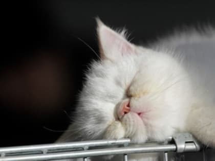 Ставропольцам рассказали, почему важно следить за артериальным давлением в жару