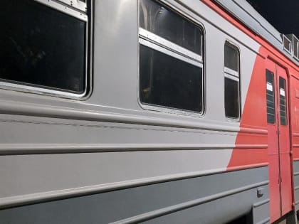С поезда «Кисловодск – Тында» в Минводах сняли 12 детей с симптомами кишечной инфекции