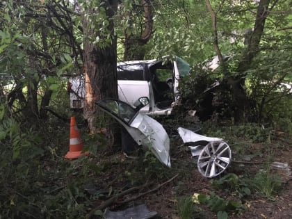 Водитель-лихач врезался в дерево вблизи Ставрополя