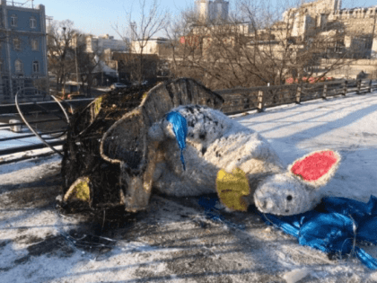 Во Владивостоке уничтожили декоративную крысу. Сначала повалили потом сожгли