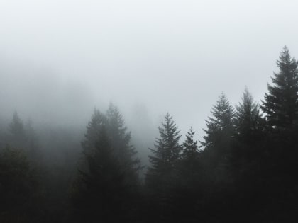 Почему люди опасаются идти к психиатру?