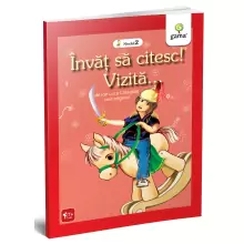 Vizită