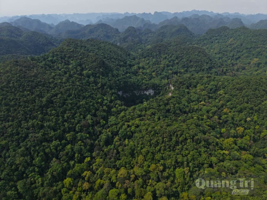 Hố sụt vừa mới phát hiện - Ảnh: Jungle Boss