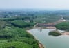 Ngăn chặn cháy rừng khốc liệt: Bí quyết cứu rừng xanh ngay! Chủ động phòng, chống cháy rừng