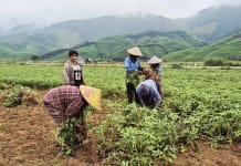 Ba Lòng nâng cao hiệu quả giảm nghèo