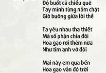 Mùa hoa gạo