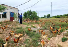Nông dân Đồng Thuận tiên phong chuyển đổi số nông nghiệp Nông dân Đồng Thuận... thời công nghệ số