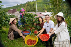 Phá thế 'trạm dừng chân' du lịch-Kỳ 2: Cơ chế nào cho không gian mới?