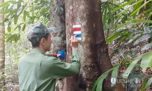 Hướng đi mới cho du lịch khám phá