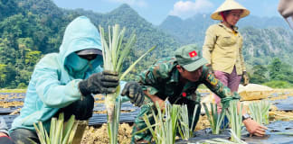 Mô hình sinh kế mới của đồng bào Rục