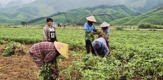 Ba Lòng nâng cao hiệu quả giảm nghèo