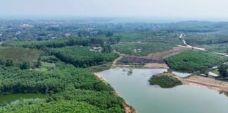 Chủ động phòng, chống cháy rừng