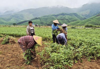 Ba Lòng nâng cao hiệu quả giảm nghèo