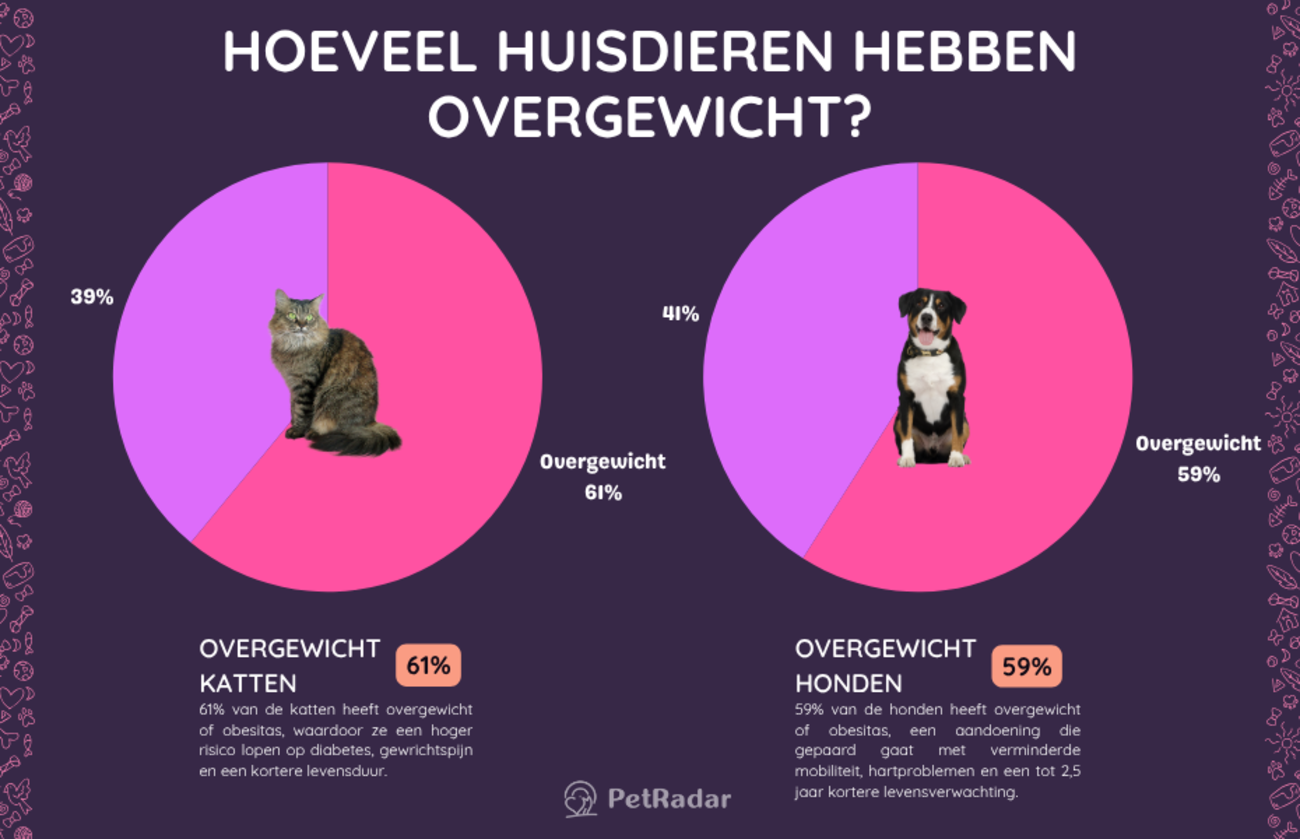 Twee cirkeldiagrammen naast elkaar die laten zien dat 61% van de katten en 59% van de honden te zwaar is, met foto's van een kat en een hond over de betreffende segmenten van de diagrammen heen geplaatst