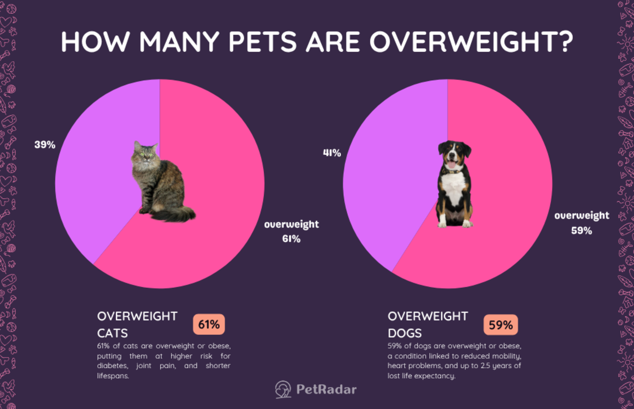 Side-by-side pie charts showing that 61% of cats and 59% of dogs are overweight, featuring photos of a cat and dog overlaid on their respective chart segments