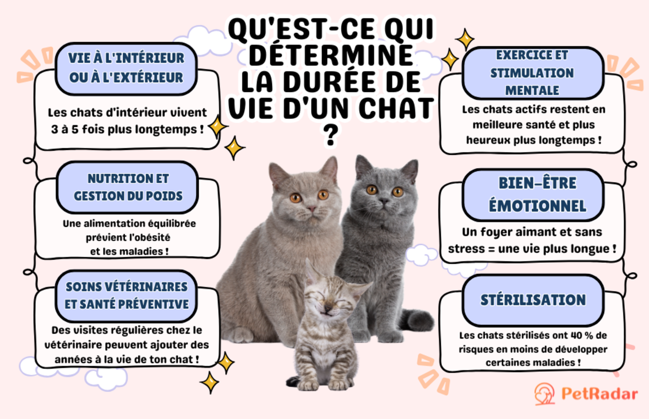 Liste des facteurs qui déterminent la durée de vie d'un chat