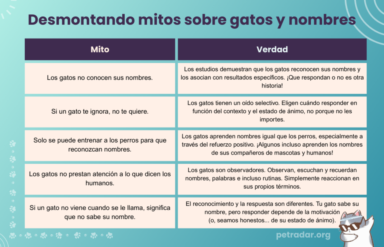 Desmontando mitos sobre gatos y nombres