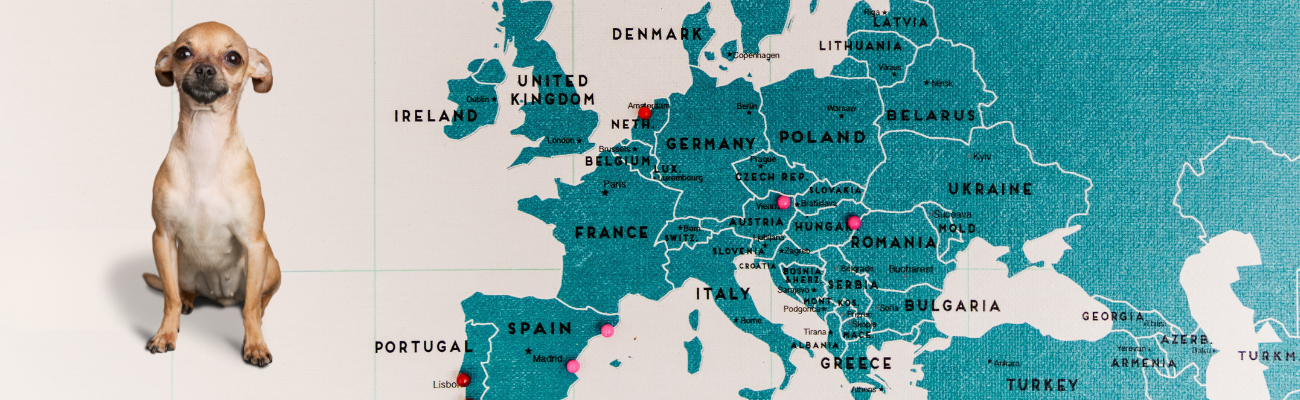 Illustratie van een kaart van Europa met een klein hondje ernaast, als symbool voor grensoverschrijdende reddingsacties.
