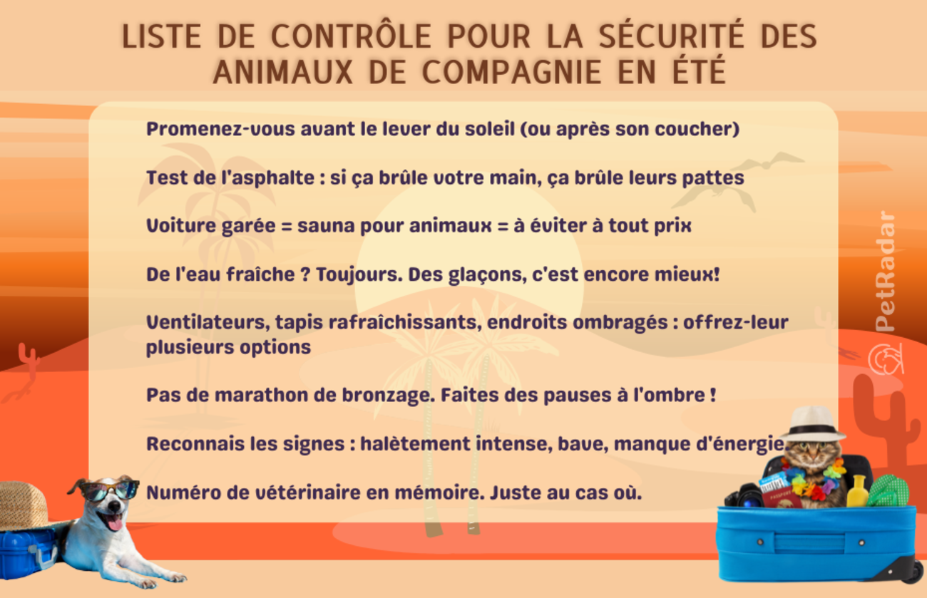 Liste illustrée amusante pour la sécurité des animaux de compagnie en été, avec un chien portant des lunettes de soleil et un chat vêtu d'une chemise hawaïenne. Comprend des conseils de sécurité contre la chaleur