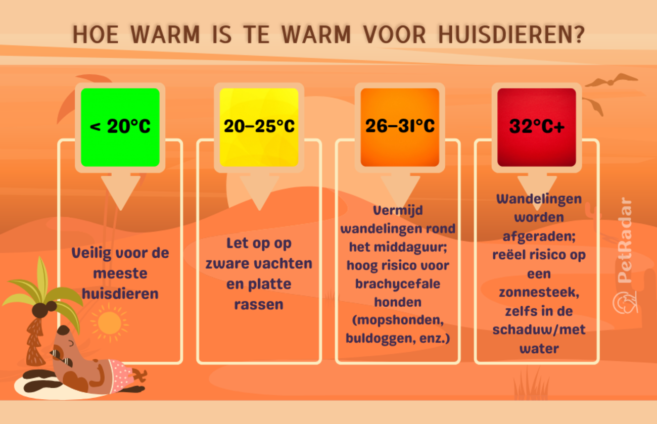 Infographic met kleurcodes getiteld ‘Hoe warm is te warm? Veiligheid voor huisdieren per temperatuur’, met gevaarlijke niveaus voor wandelingen bij verschillende temperaturen