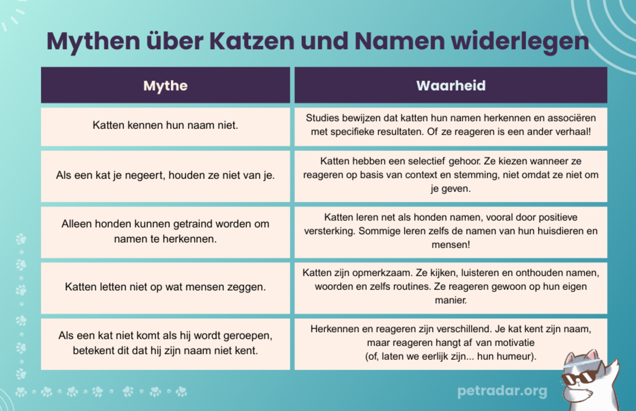 Mythes over katten en namen ontkrachten