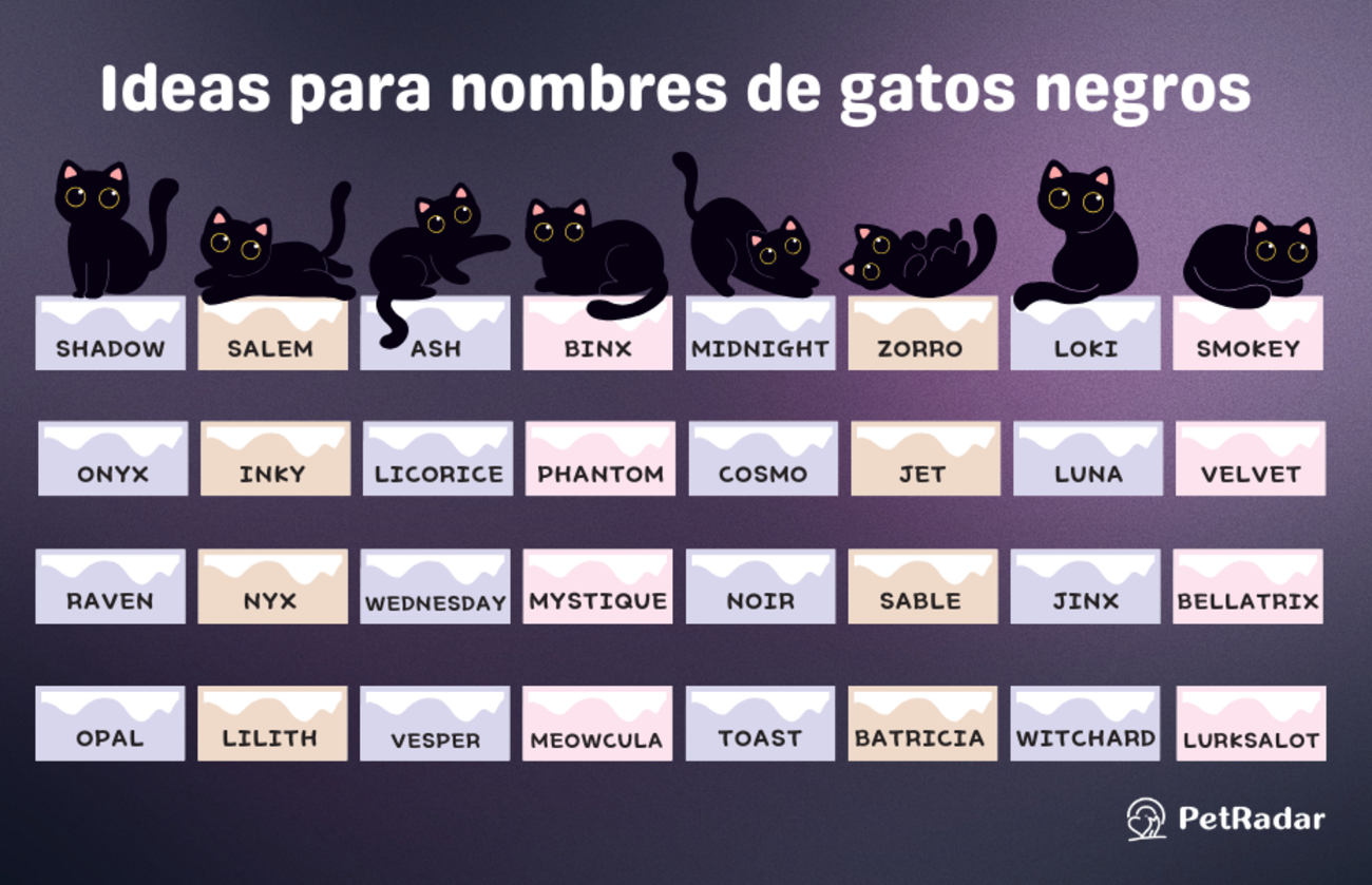 Ideas para nombres de gatos negros