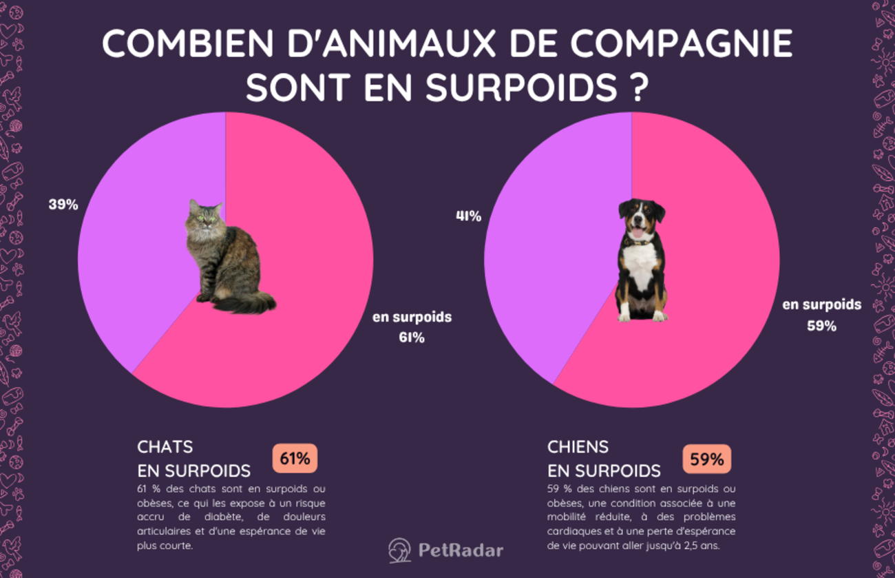 Graphiques circulaires côte à côte montrant que 61 % des chats et 59 % des chiens sont en surpoids, avec des photos d'un chat et d'un chien superposées sur leurs segments respectifs du graphique