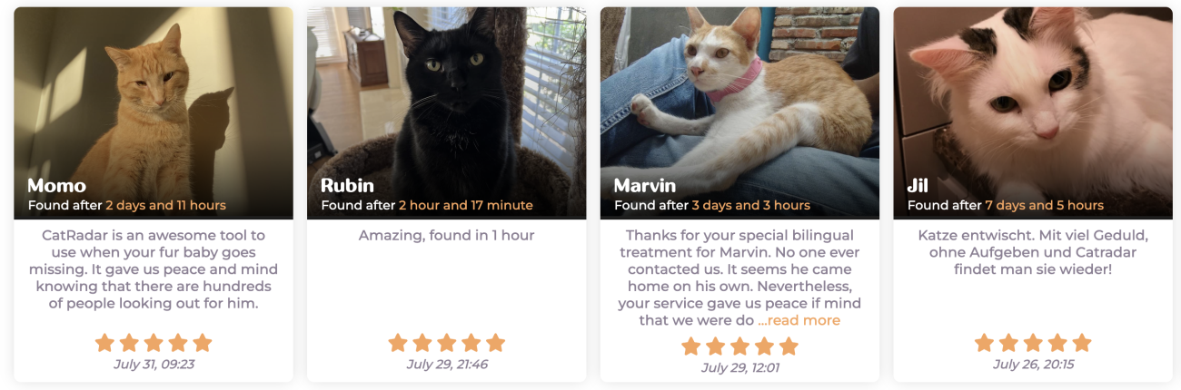 Images and reviews of cats that PetRadar have helped return home