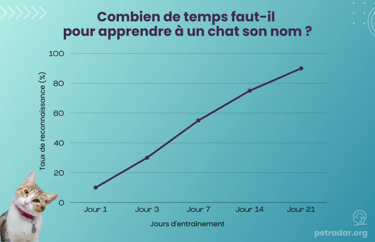 Combien de temps faut-il pour apprendre à un chat son nom Graphique
