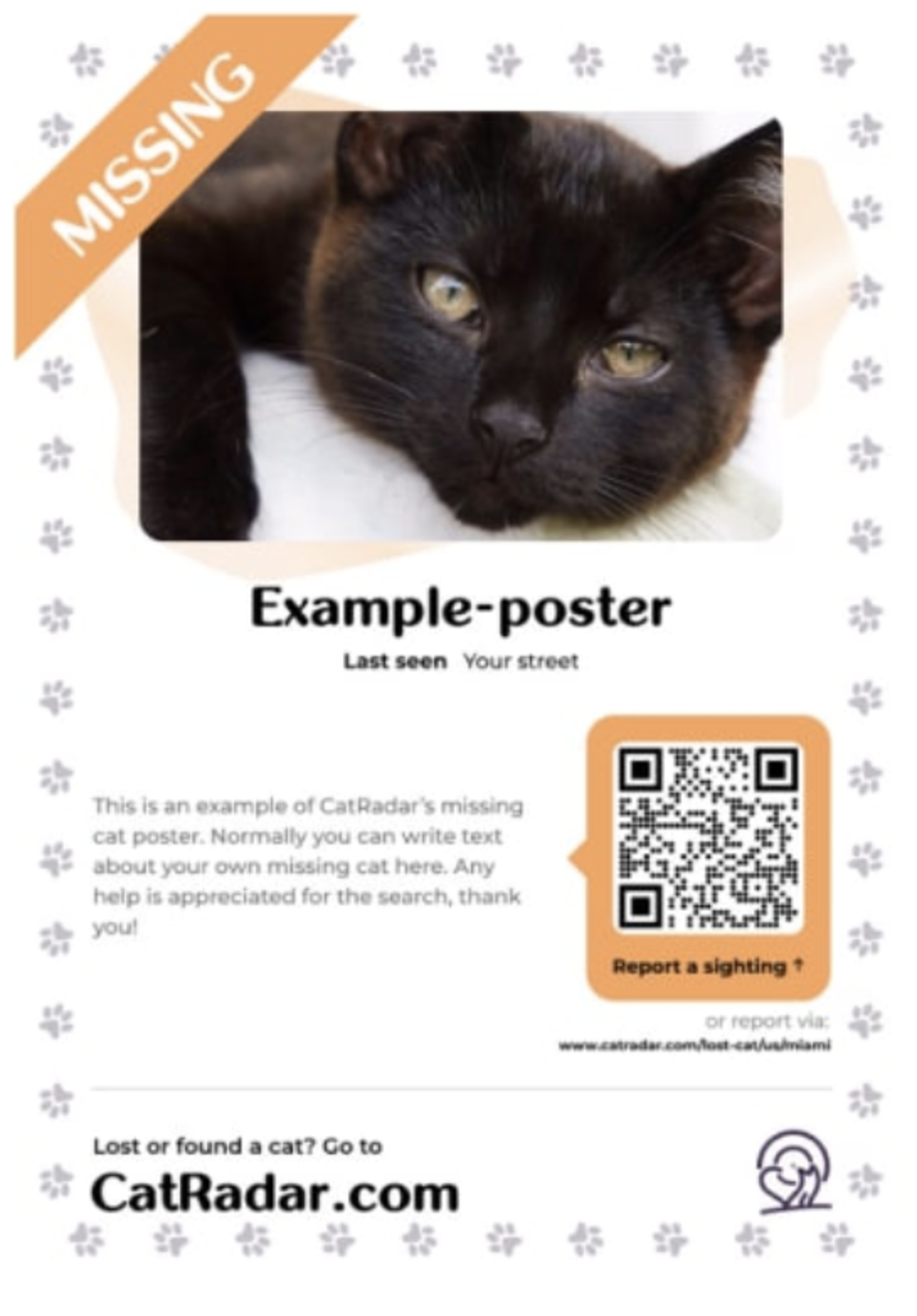 Example missing cat poster by PetRadar