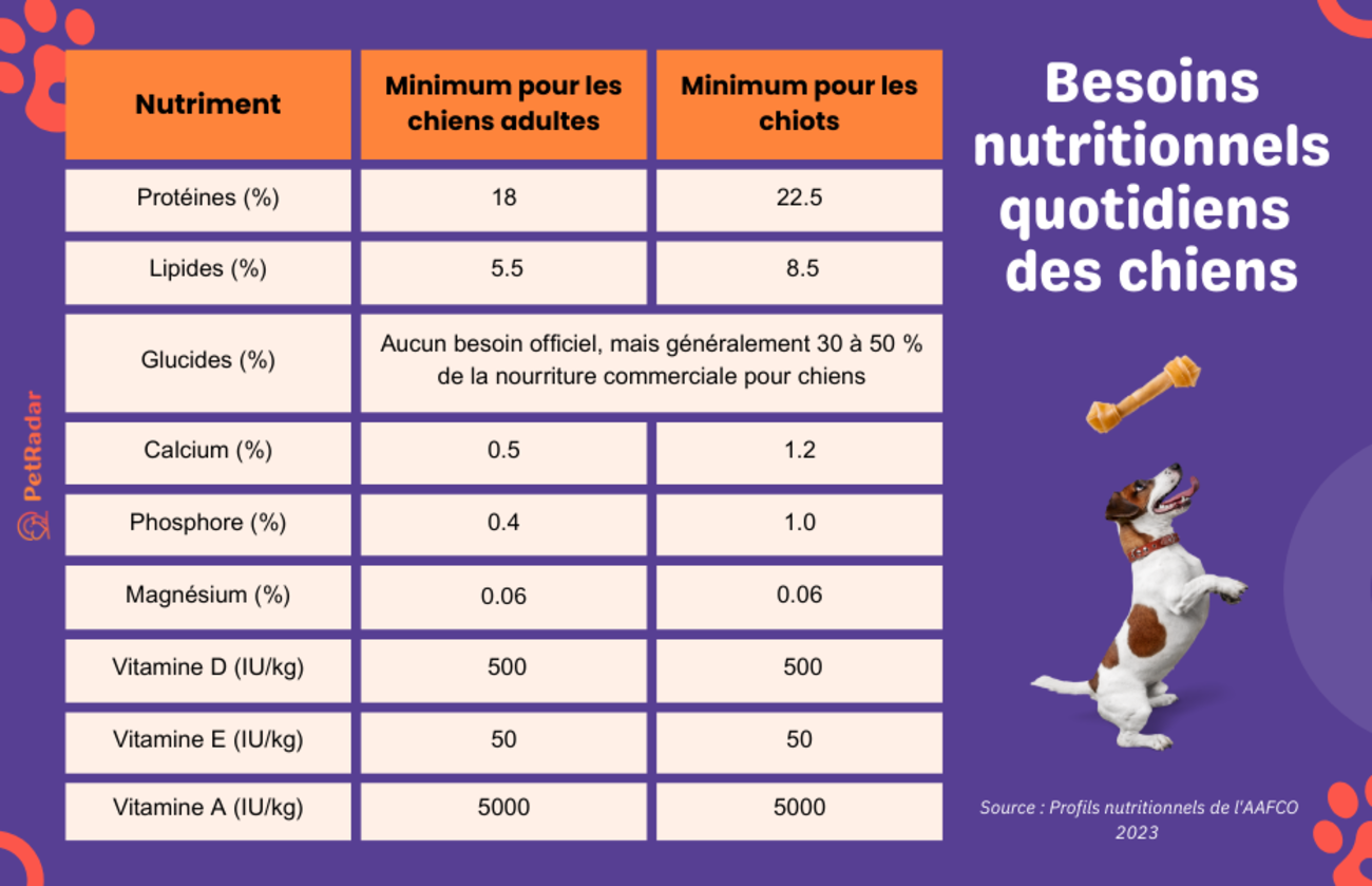 Tableau des besoins nutritionnels quotidiens des chiens
