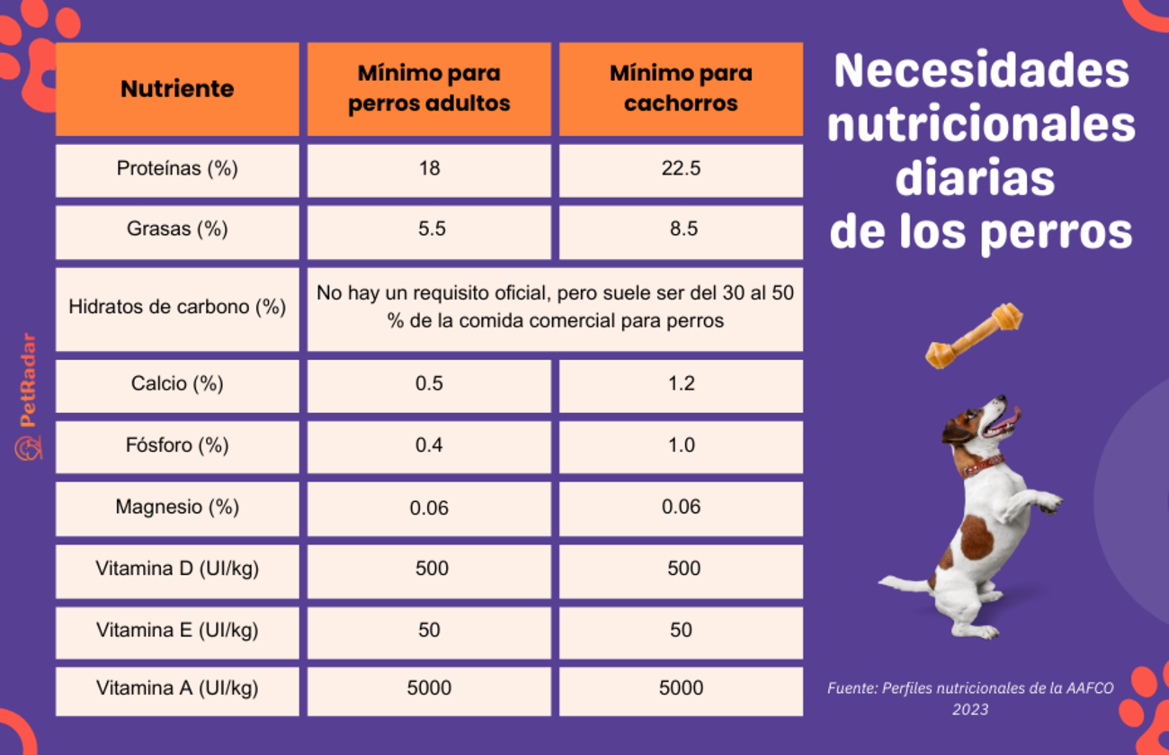 Tabla de necesidades nutricionales diarias de los perros