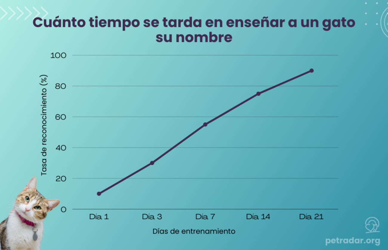 Cuánto tiempo se tarda en enseñar a un gato su nombre Representación gráfica