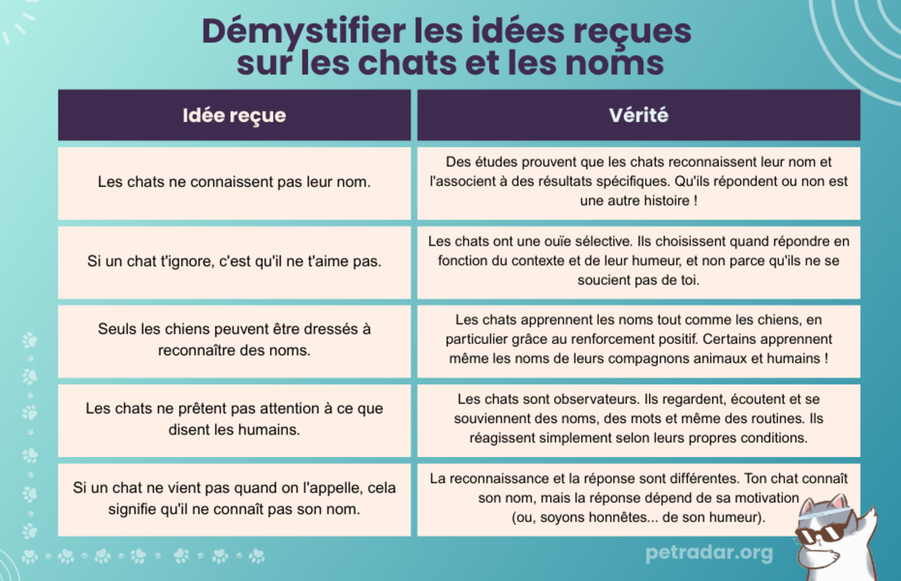 Démystifier les idées reçues sur les chats et les noms