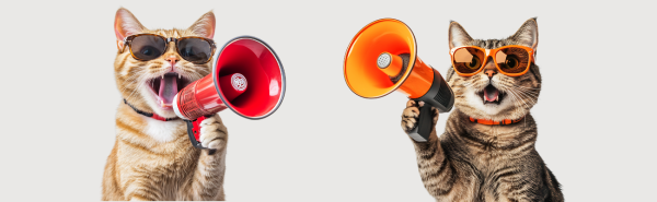 ニャー、ウー、チュン：猫の鳴き声、ほんとは何を伝えたいの？
