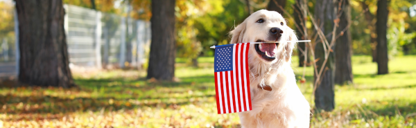 A happy dog holding a U.S. flag between its teeth; pet ownership trends across America in 2025.