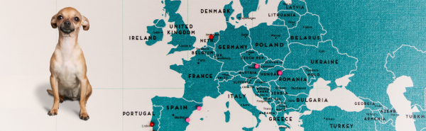 Tendances de l'adoption d'animaux en Europe 
