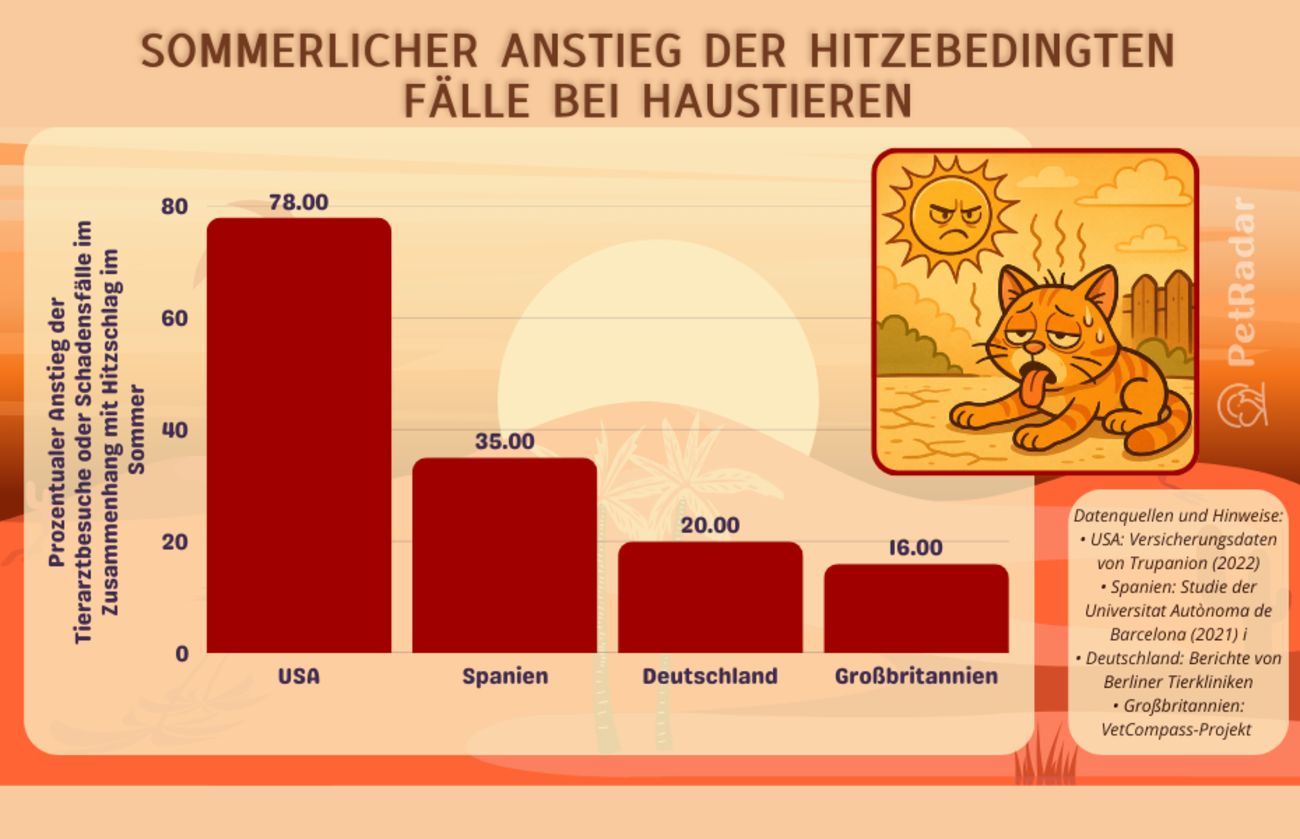 Balkendiagramm, das den Anstieg der hitzebedingten Fälle bei Haustieren in den Sommermonaten in den USA, Spanien, Deutschland und Großbritannien zeigt