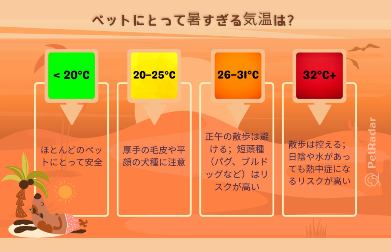 温度別の散歩の危険度を示す、色分けされたインフォグラフィック「ペットの安全のための気温の限界」