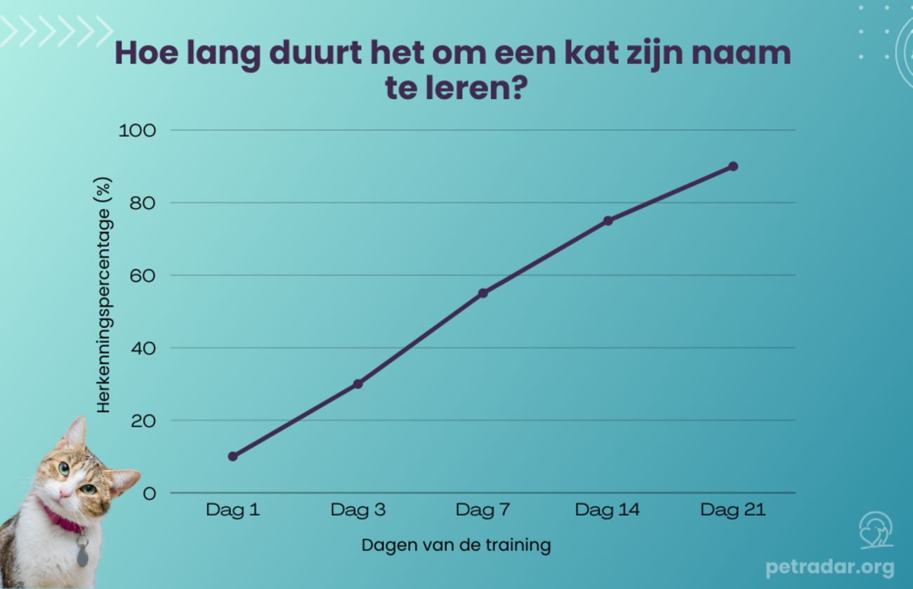 Hoe lang duurt het om een kat zijn naam te leren Grafische weergave