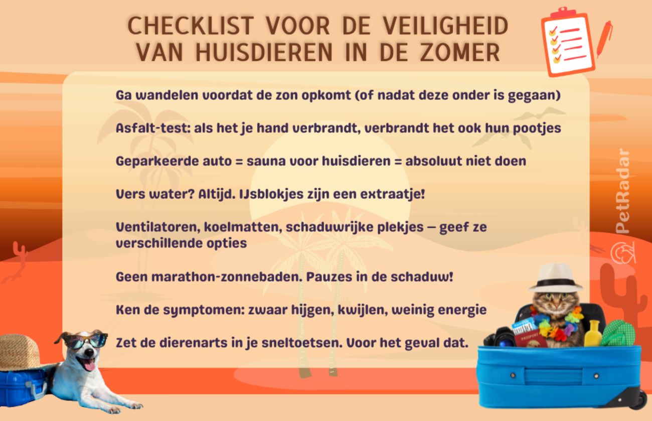 Grappige geïllustreerde checklist voor de veiligheid van huisdieren in de zomer, met een hond met een zonnebril en een kat in een Hawaiiaans shirt. Bevat tips voor veiligheid bij hitte