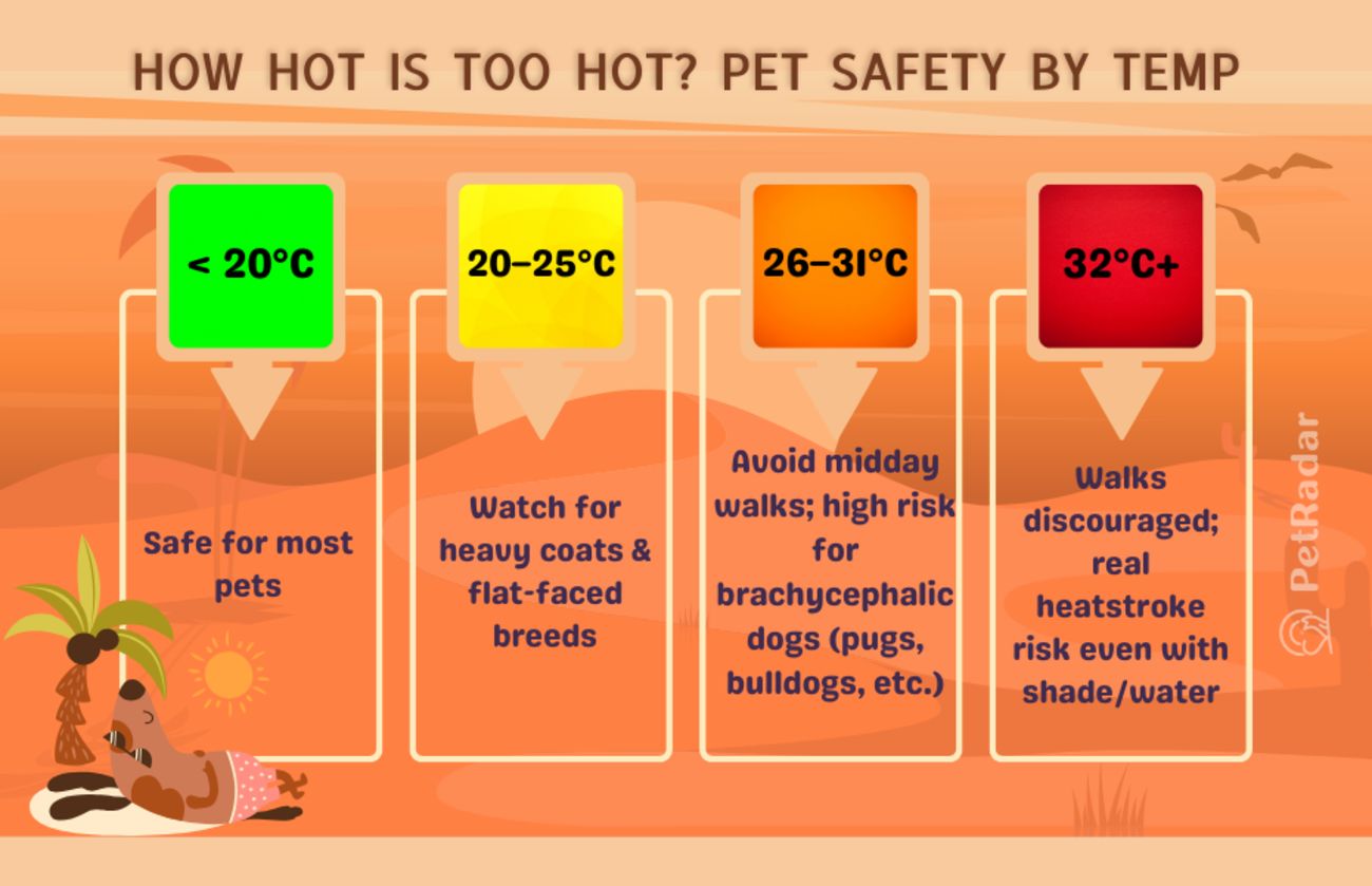 Color-coded infographic titled How Hot Is Too Hot Pet Safety by Temp, displaying danger levels for walks at different temperatures