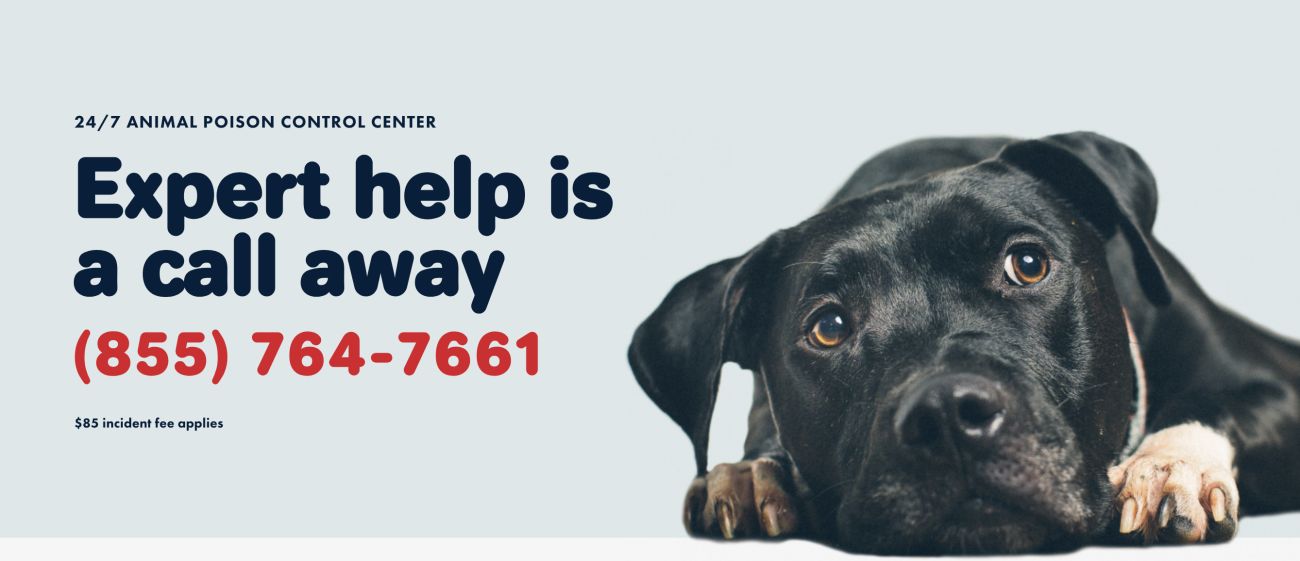 Pet Poison Helpline information that says 'help is just a call away' and the number to contact them on