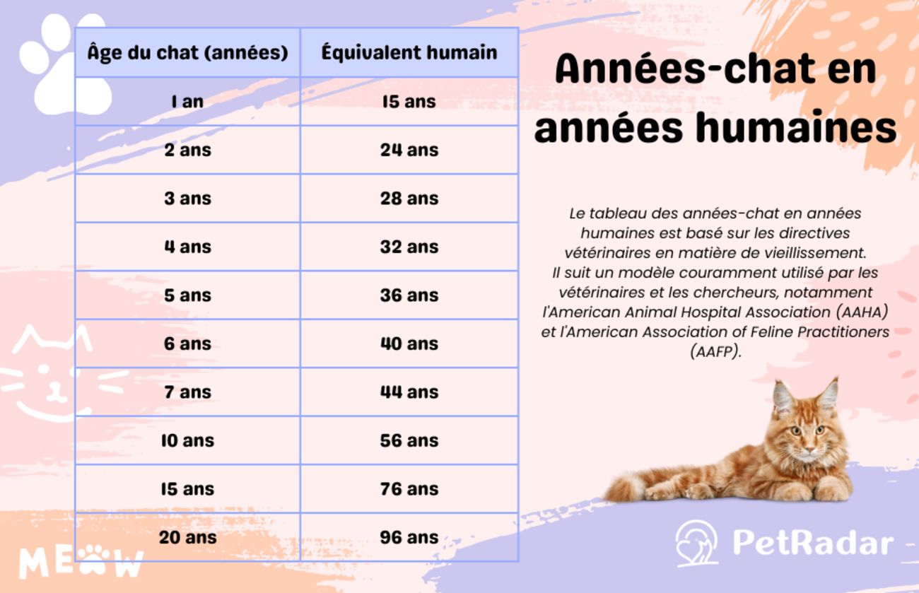 Tableau de conversion - Années-chat en années humaines