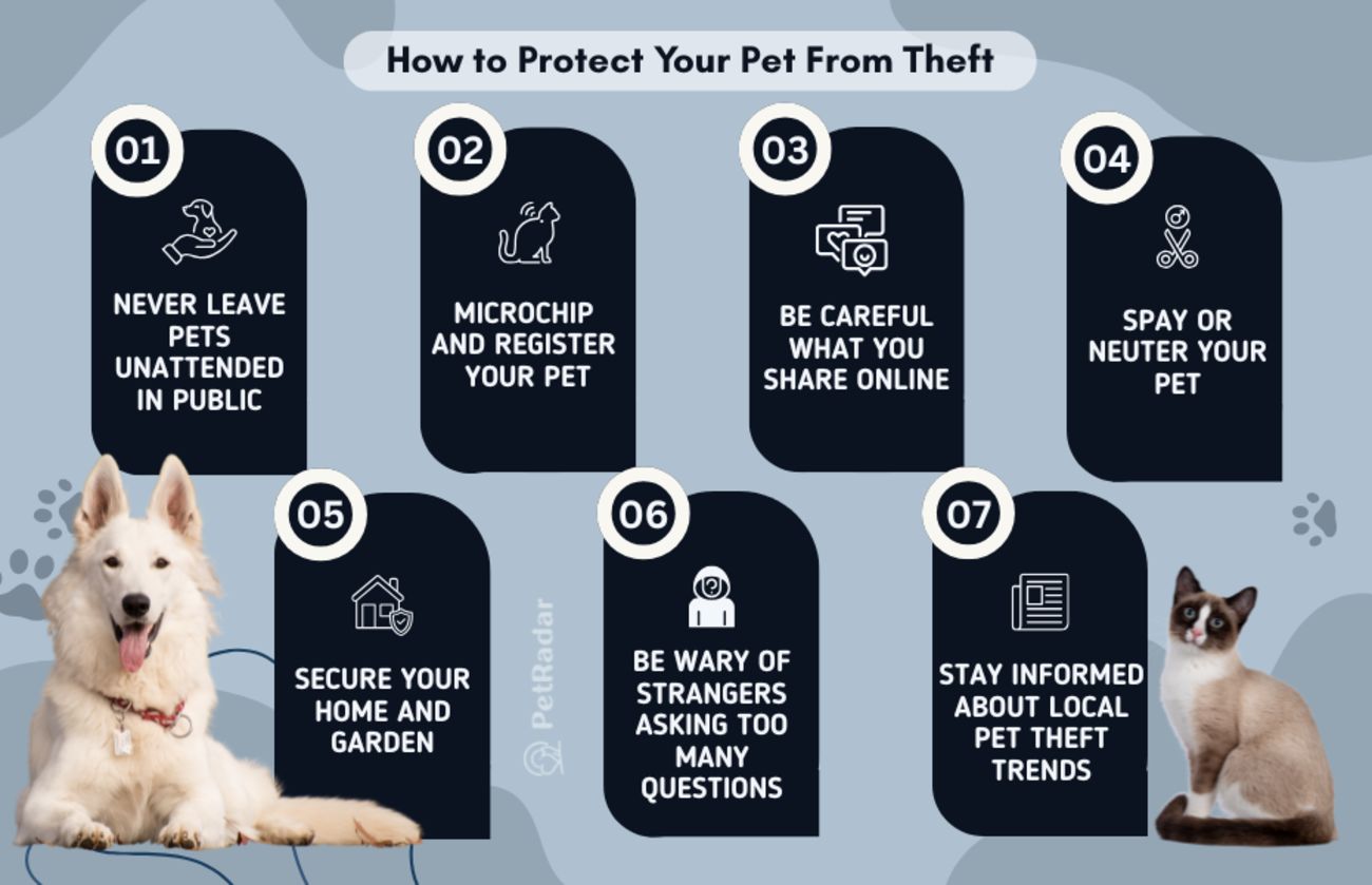 infographic with icons and illustrations showing 7 tips to prevent pet theft, including never leaving pets unattended, microchipping, and securing the home