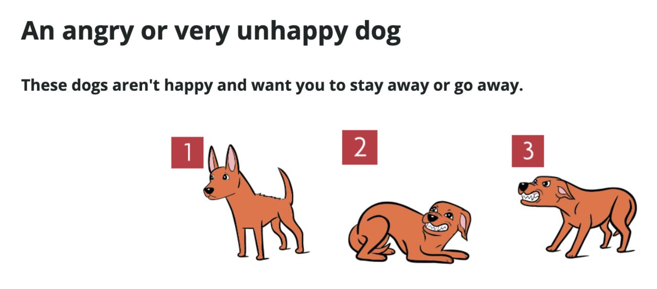 An unhappy dog diagram