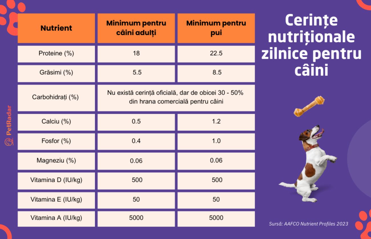 Cerințele nutriționale zilnice pentru câini