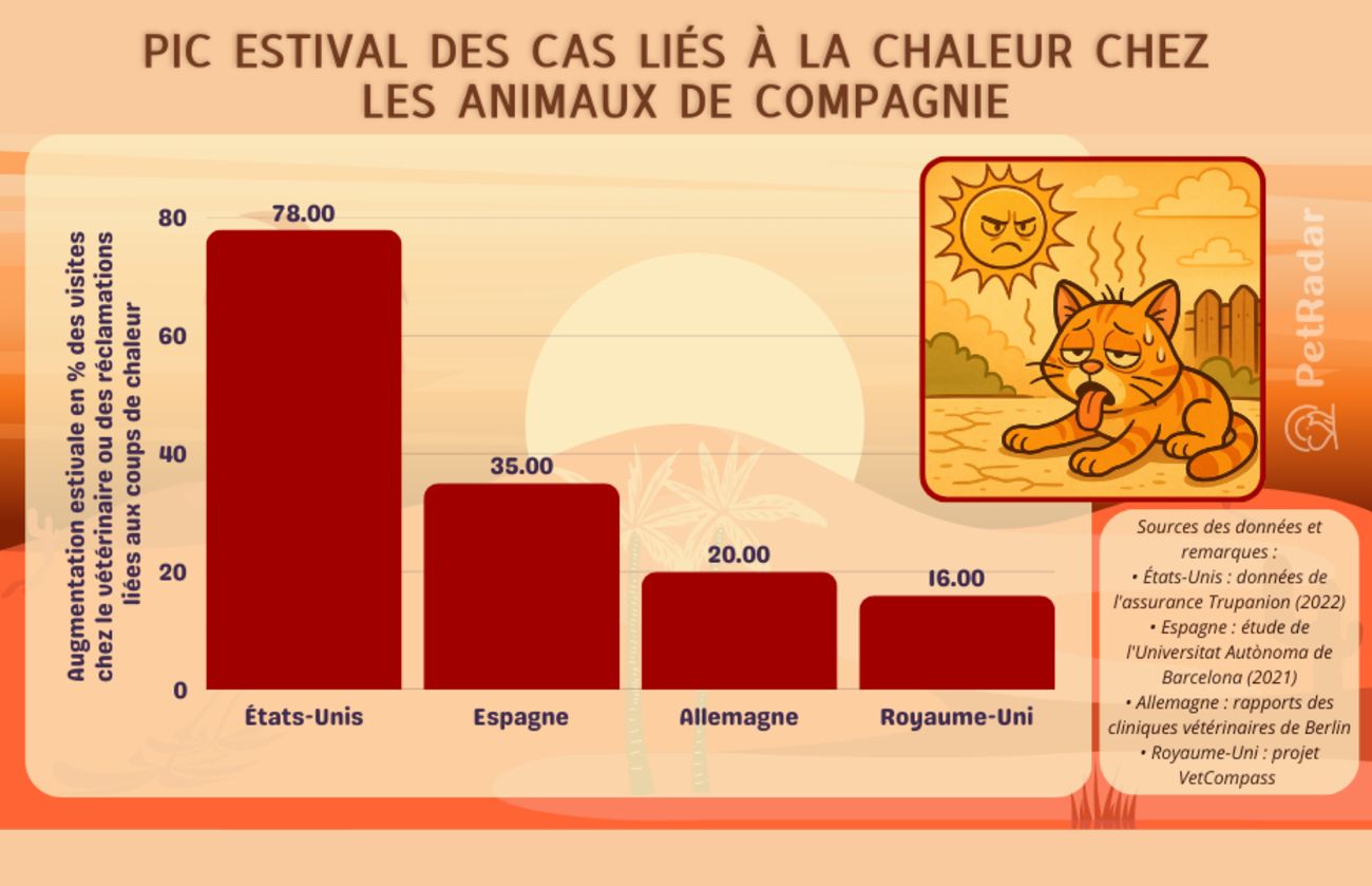 Graphique à barres montrant l'augmentation des cas liés à la chaleur chez les animaux de compagnie pendant les mois d'été aux États-Unis, en Espagne, en Allemagne et au Royaume-Uni